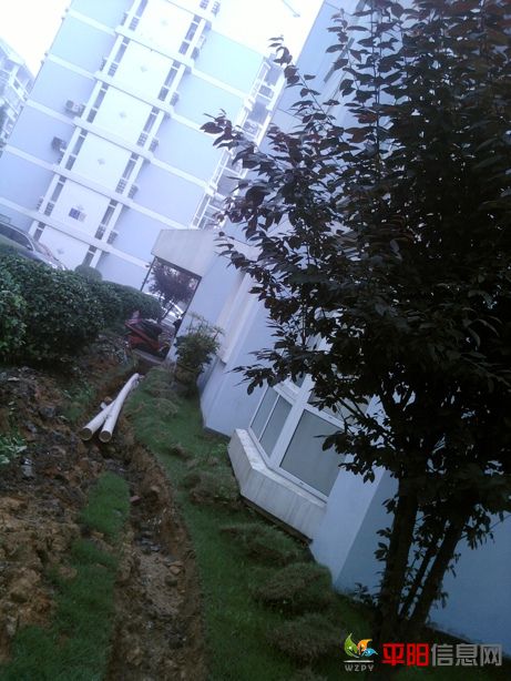 Ƭ0081.jpg