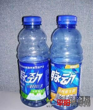 8135469.jpg