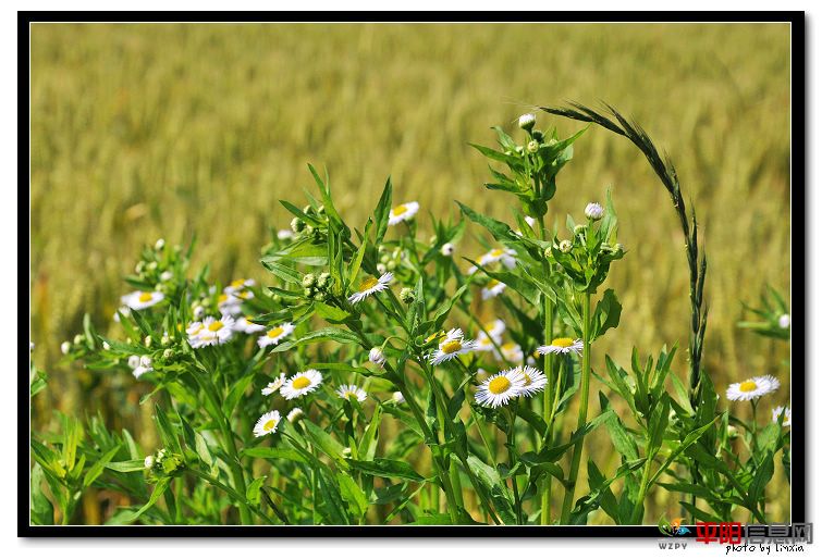 DSC_5168_nEO_IMG.jpg