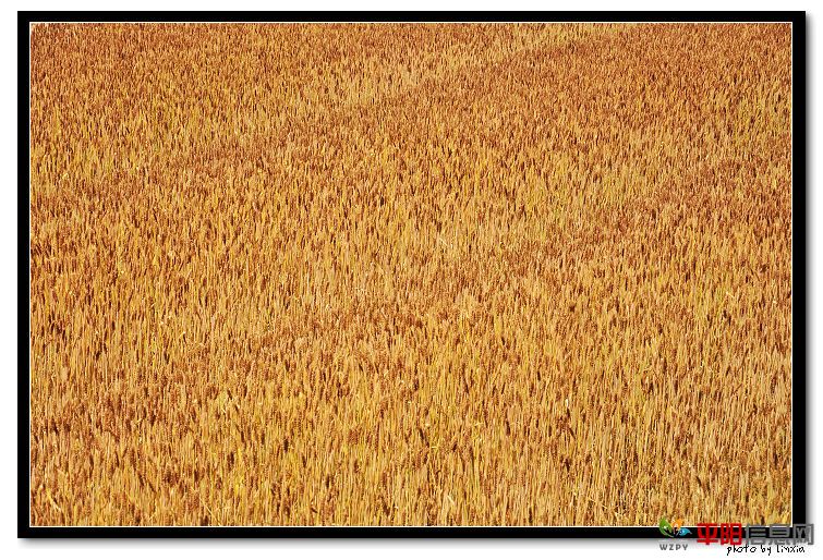 DSC_5701_nEO_IMG.jpg