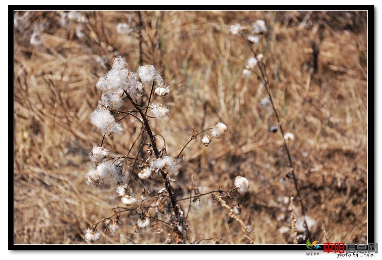 DSC_5709_nEO_IMG.jpg