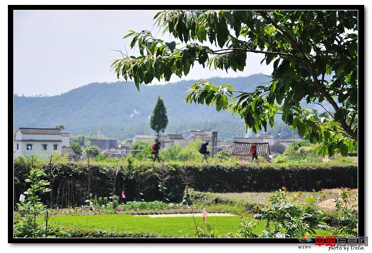 DSC_5713_nEO_IMG.jpg