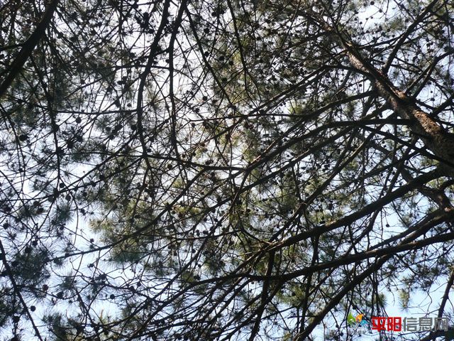 P1040903.JPG