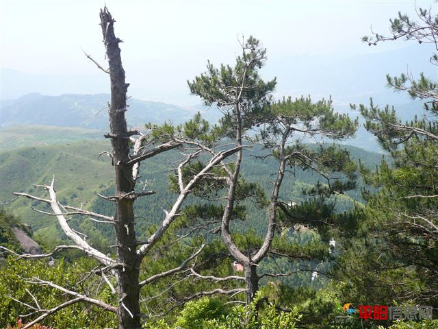P1040908.JPG