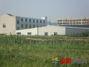 DSC01345.JPG