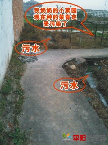 55.jpg