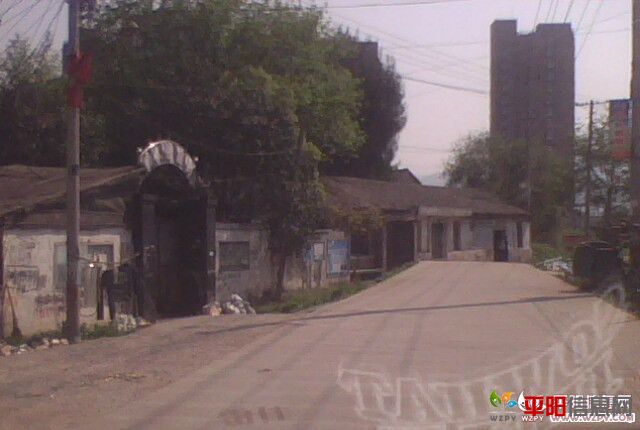 095643mnu8ke9ue7ku8pzk.jpg