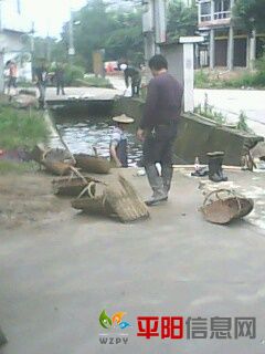 IMG0019A.jpg