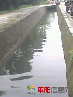 IMG0020A.jpg
