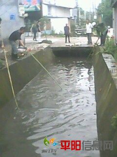 IMG0022A.jpg