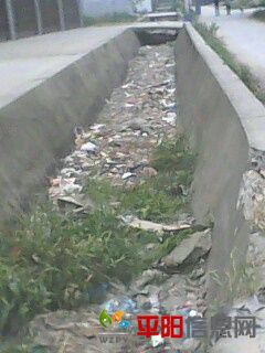 IMG0017A.jpg