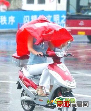 13075826363104175.jpg