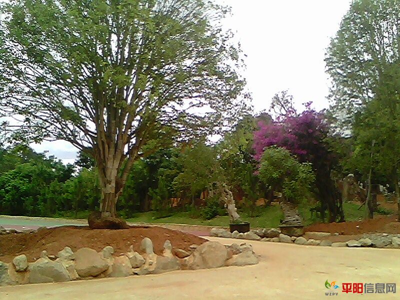 IMG0125A.jpg