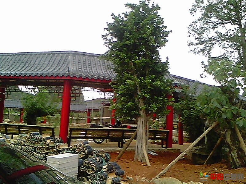 IMG0127A.jpg