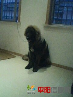 IMG0023A.jpg