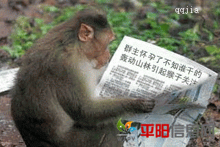 1885ed4555913b52c995594b.gif