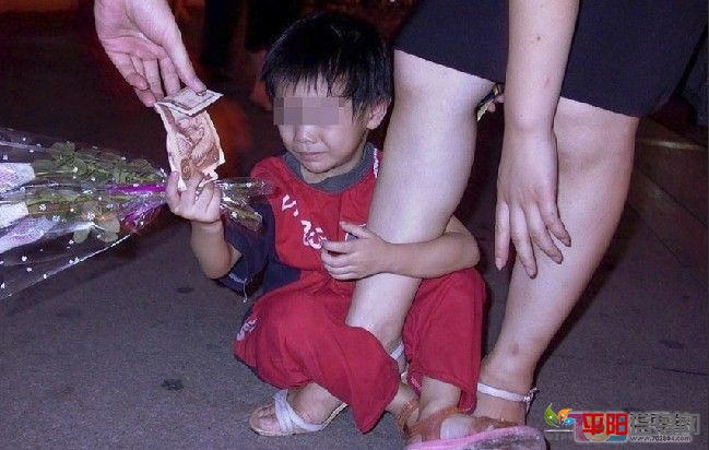 5675676.jpg