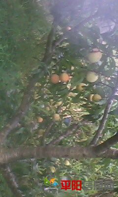 IMG0071A.jpg