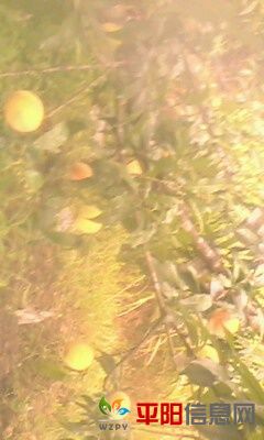 IMG0075A.jpg