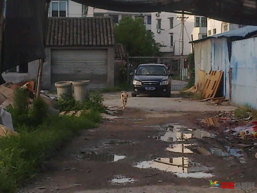 6ADL@W@ZE%EPNQ}PYEO]QMQ.jpg