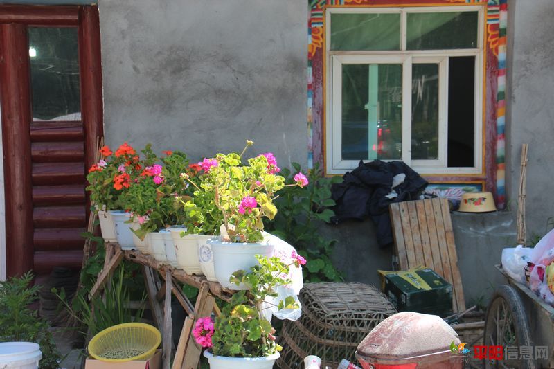 Ƭ 077.jpg