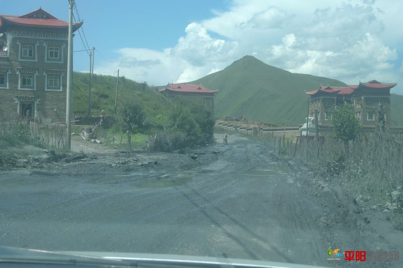 P1060446.jpg