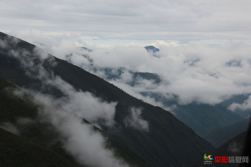 Ƭ 029.jpg
