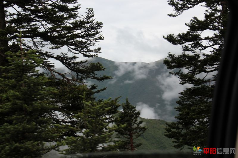 Ƭ 037.jpg