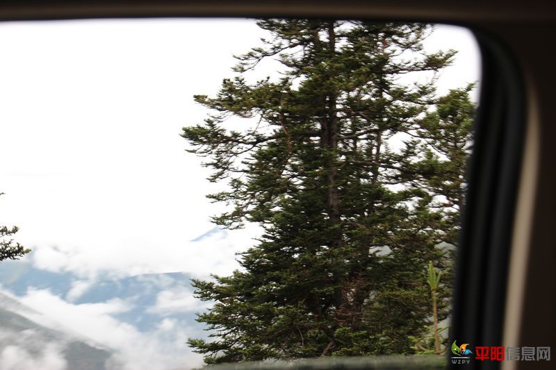 Ƭ 039.jpg