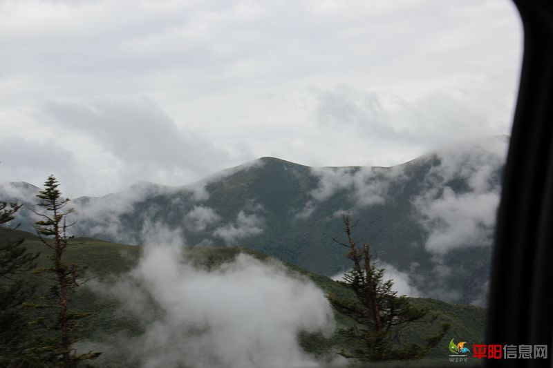 Ƭ 036.jpg