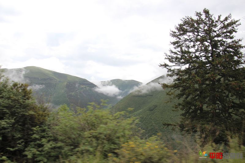Ƭ 059.jpg