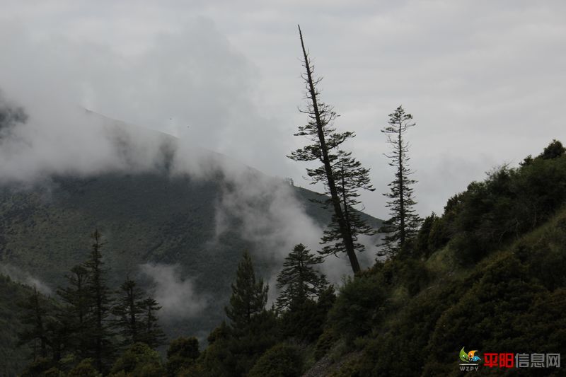 Ƭ 069.jpg