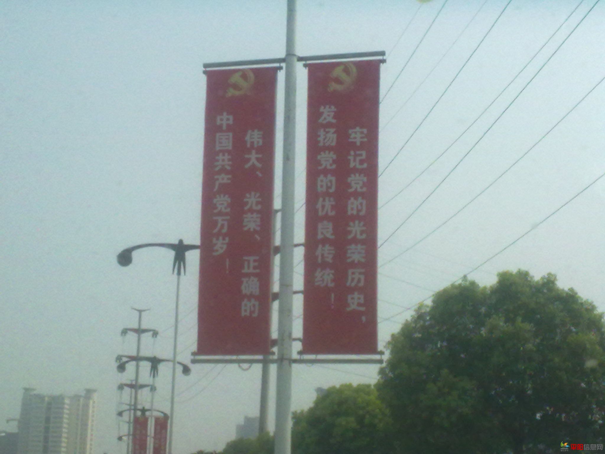 20110726042.jpg