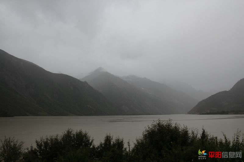 IMG_2130.jpg