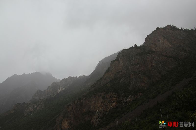 IMG_2132.jpg