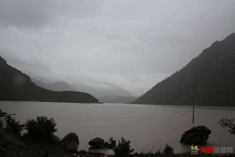 IMG_2135.jpg