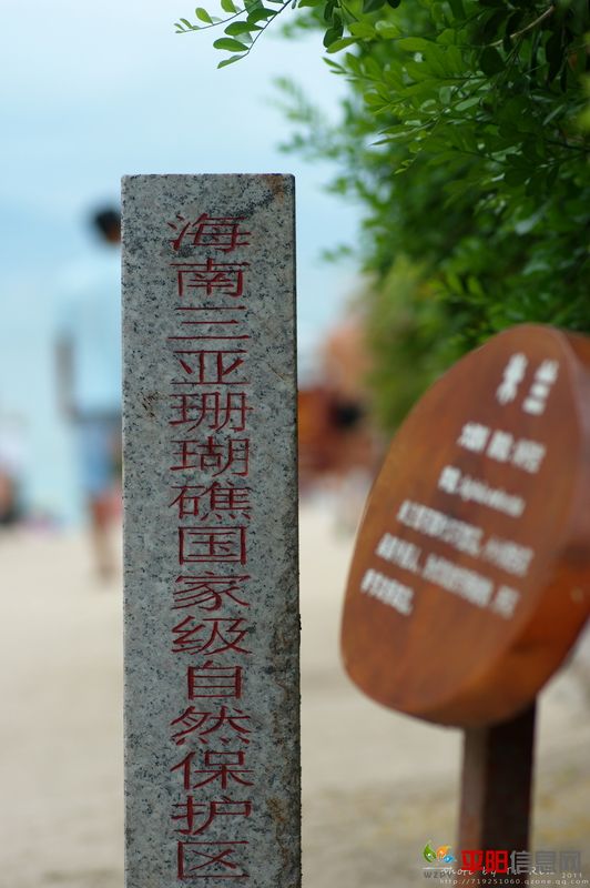 _IGP8436.jpg