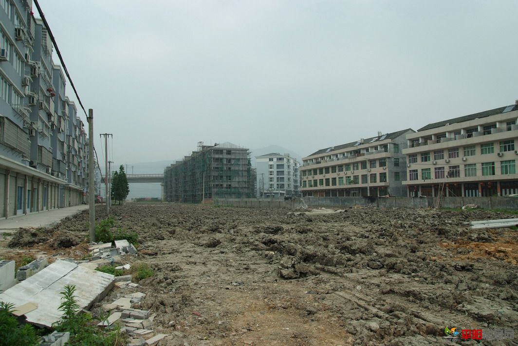 DSCF0784.JPG