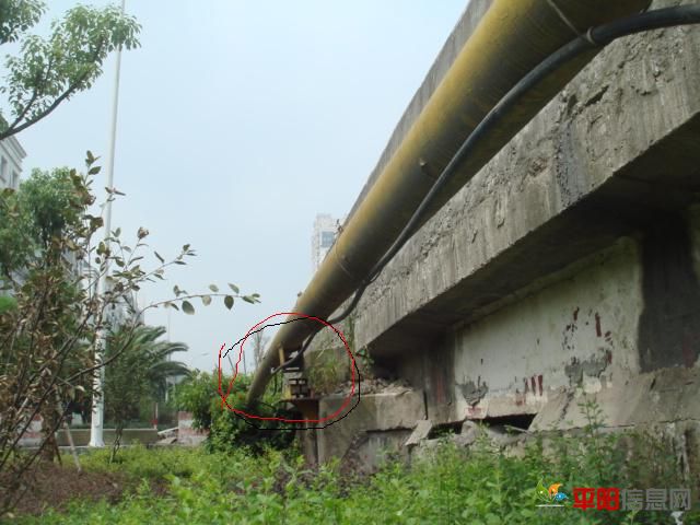 DSC08427.JPG