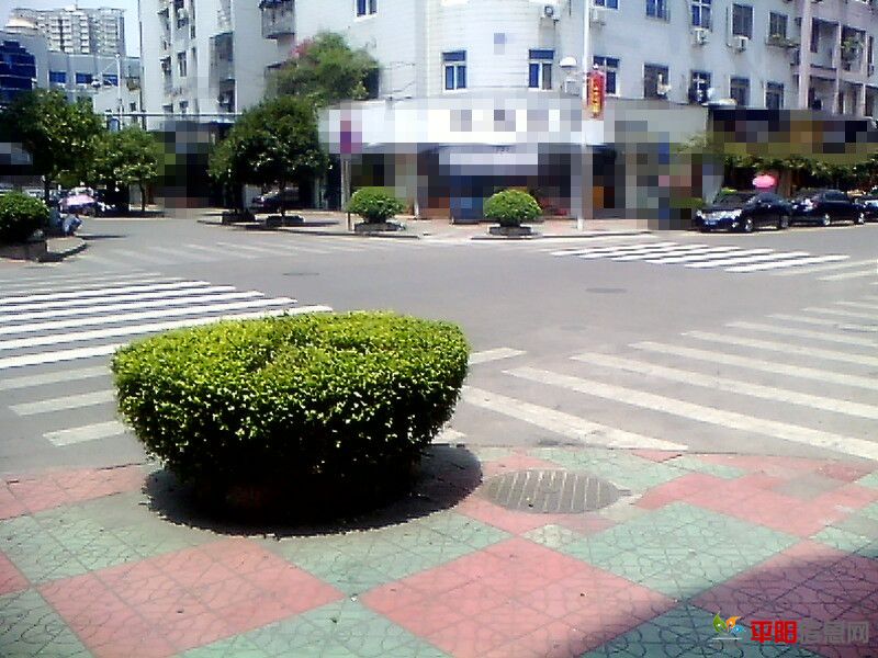 IMG0960A_A_.jpg