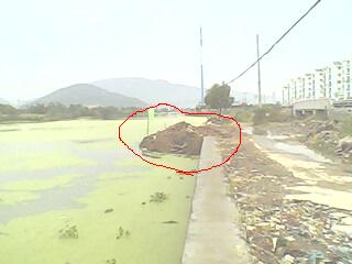 IMG0074A.jpg