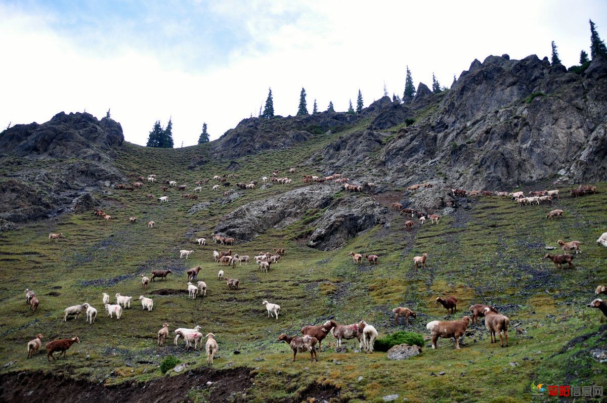 DSC_2799.JPG