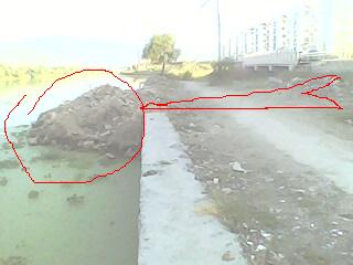 IMG0075A.jpg