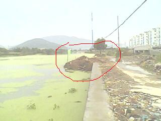 IMG0074A.jpg