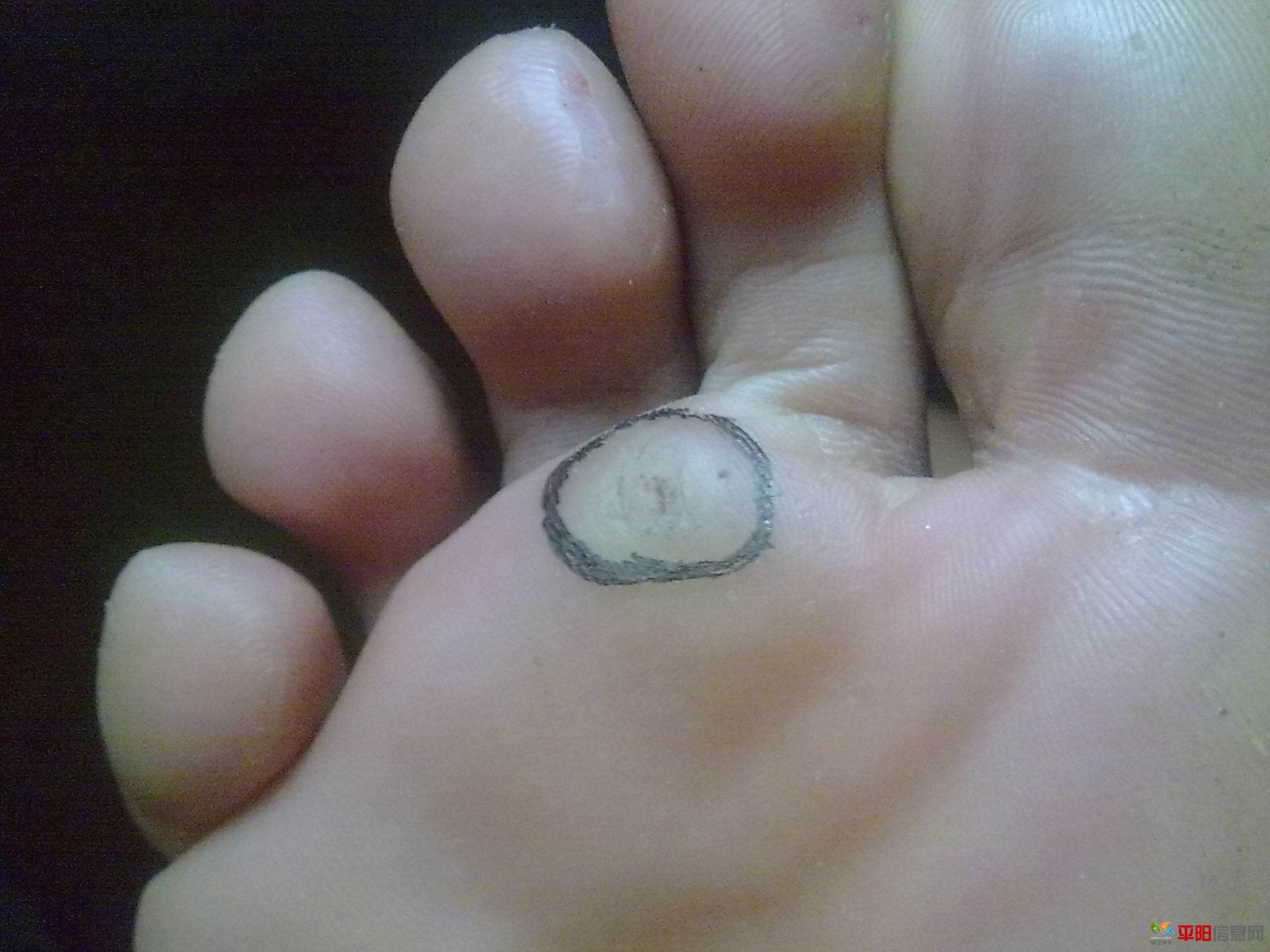 20110823615.jpg