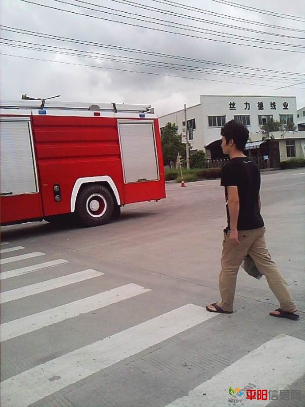 photo49.jpg
