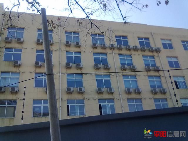 20101205013.jpg