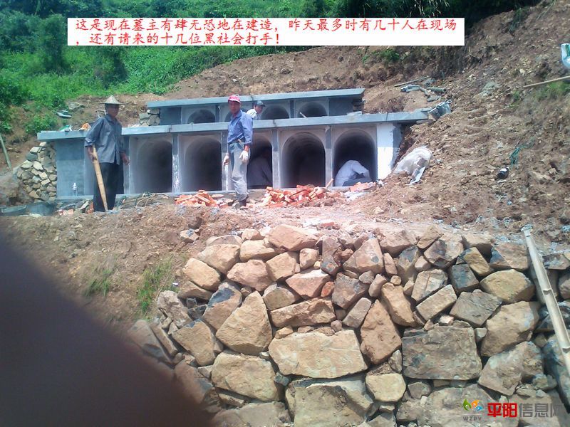 Ƭ0119.jpg