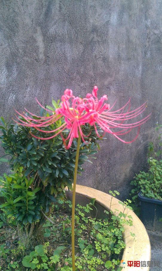 IMAG0224.jpg