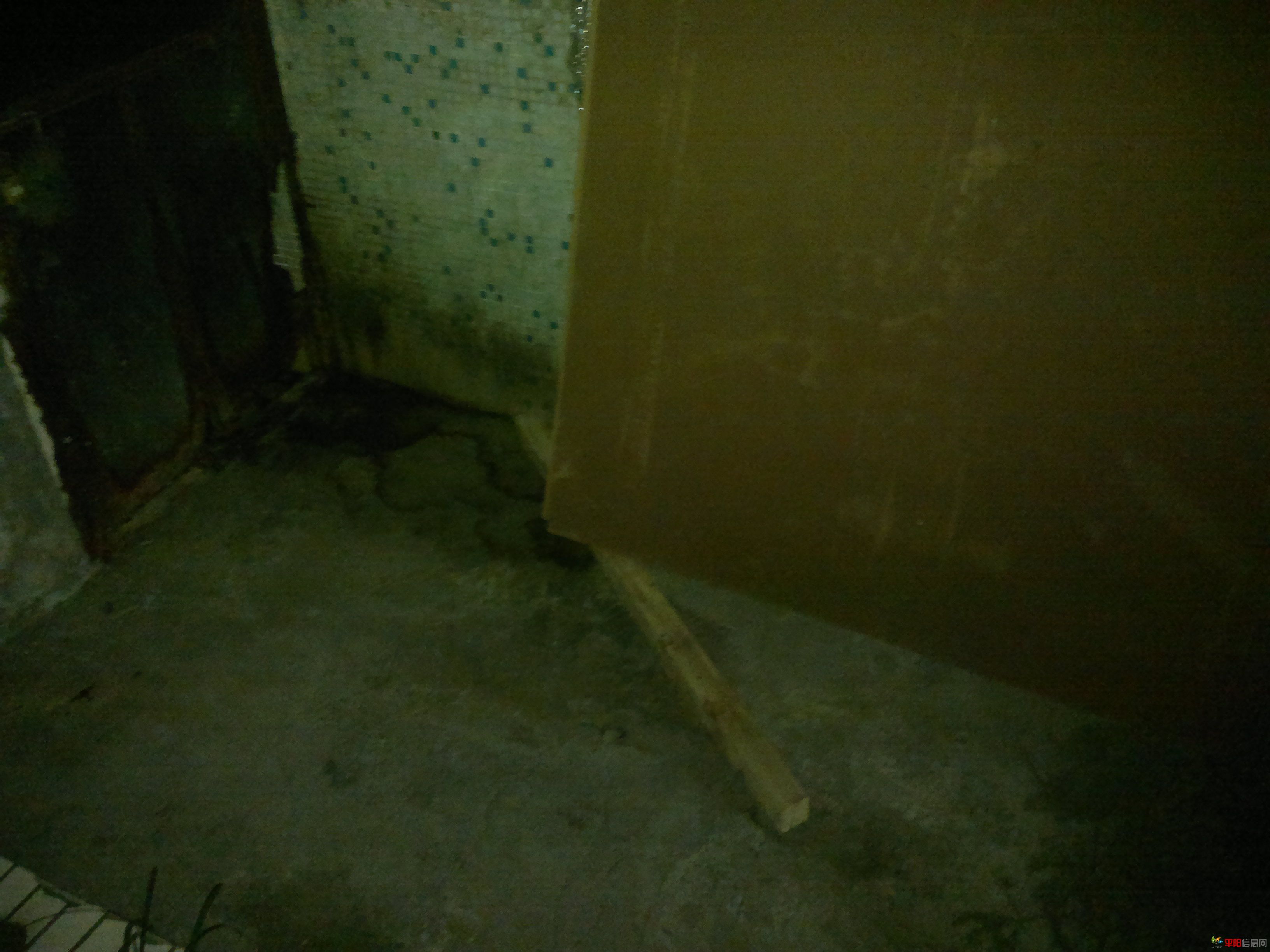 20110922020.jpg